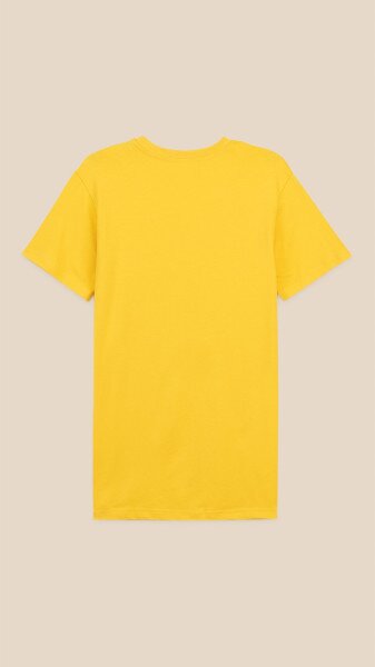 picture-3
