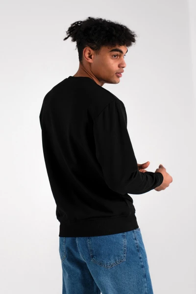 picture-3