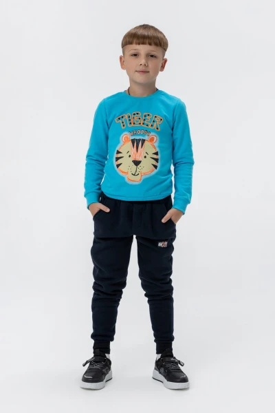 picture-4