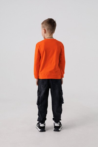 picture-4