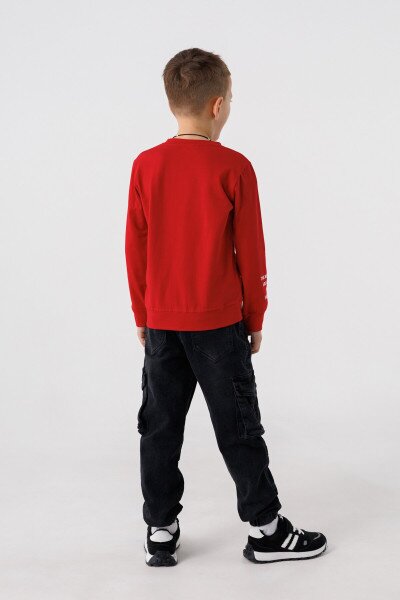 picture-4