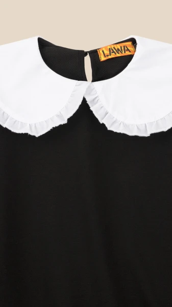 picture-2