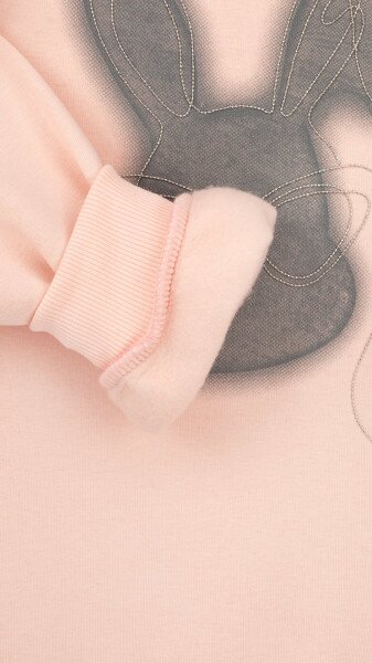 picture-3