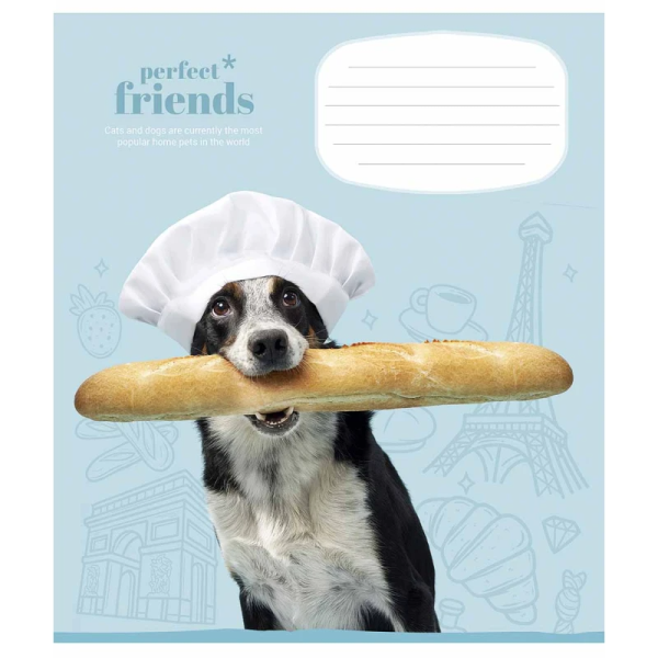Зошит учнівський &quot;Perfect friends&quot; Школярик 012-3250C 12 арк. (482000647045603250)(SC)