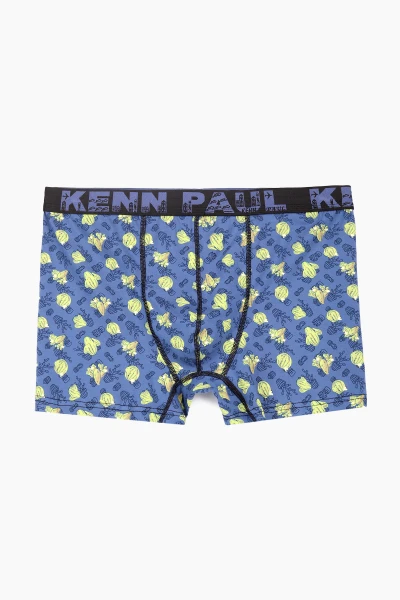 Труси чоловічі KENN PAUL 030 кактус 4XL Різнокольоровий (2000989554561S)