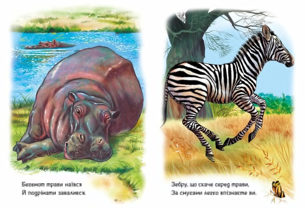 Дитяча книжка Малятам про звіряток: Тварини світу Ранок М212014У  Фото №2