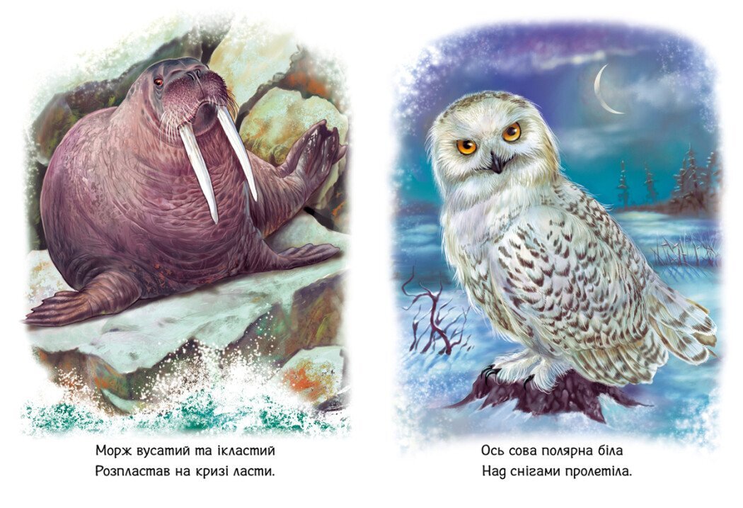 Дитяча книжка Малятам про звіряток: Тварини світу Ранок М212014У  Фото №3