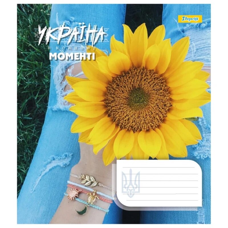 Тетрадь ученическая 1В 767332 Разноцветная (4823092288523)(SC)  Фото №4