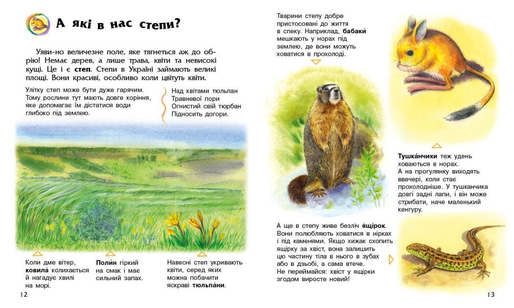 Купити Книга Енциклопедія дошкільника (нова): Україна Ранок С614044У Різнокольоровий Артикул: 9786170999948 Фото повноекранне №3