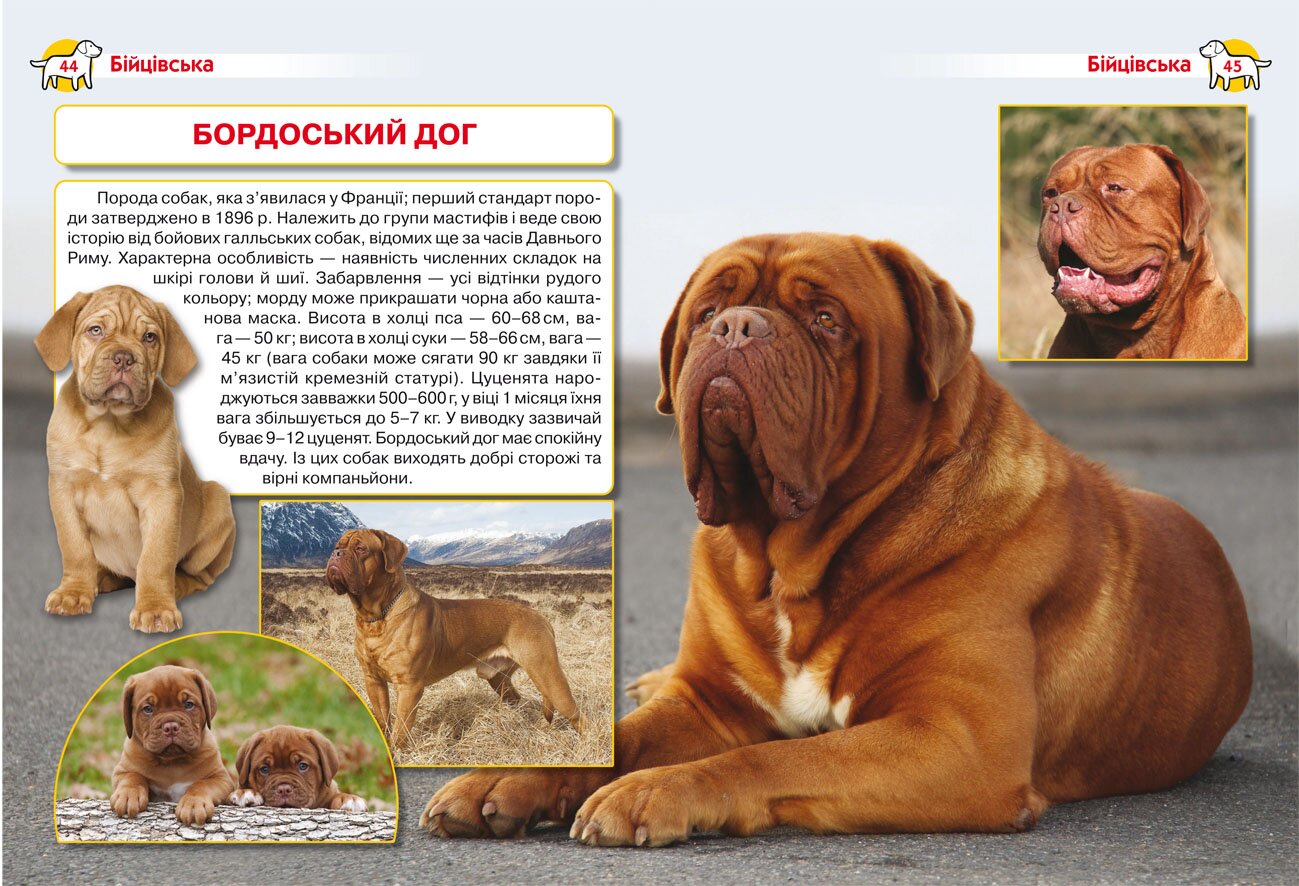 Книга &quot;Енциклопедія. Собаки&quot; 1067 (9786175471067)  Фото №1