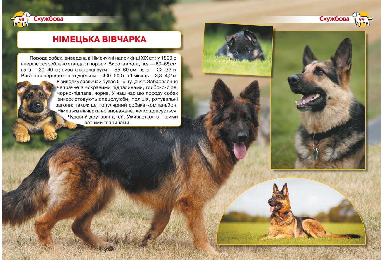 Книга &quot;Енциклопедія. Собаки&quot; 1067 (9786175471067)  Фото №2