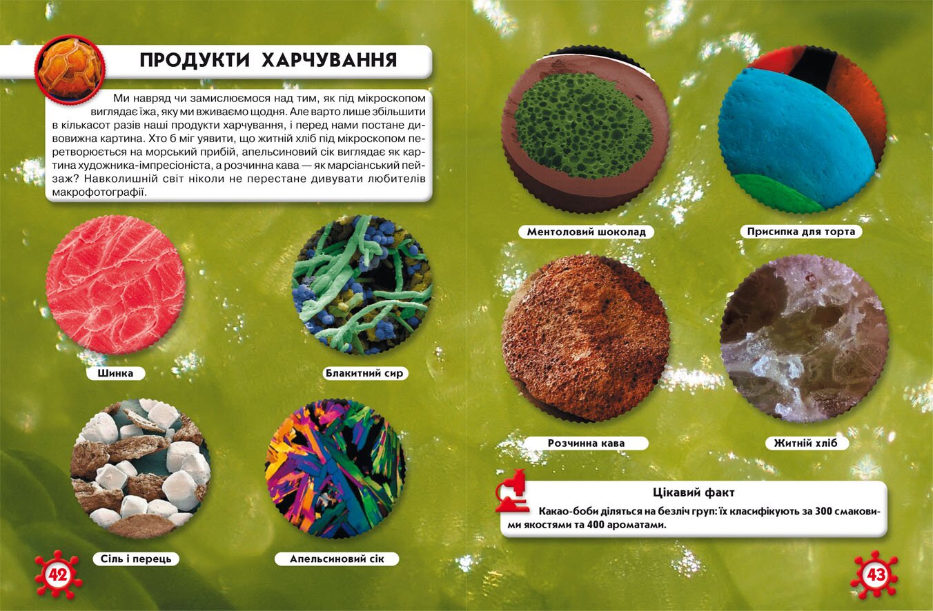 Книга &quot;Світ навколо нас. Мікросвіт&quot; 8959 (9789669368959)  Фото №1
