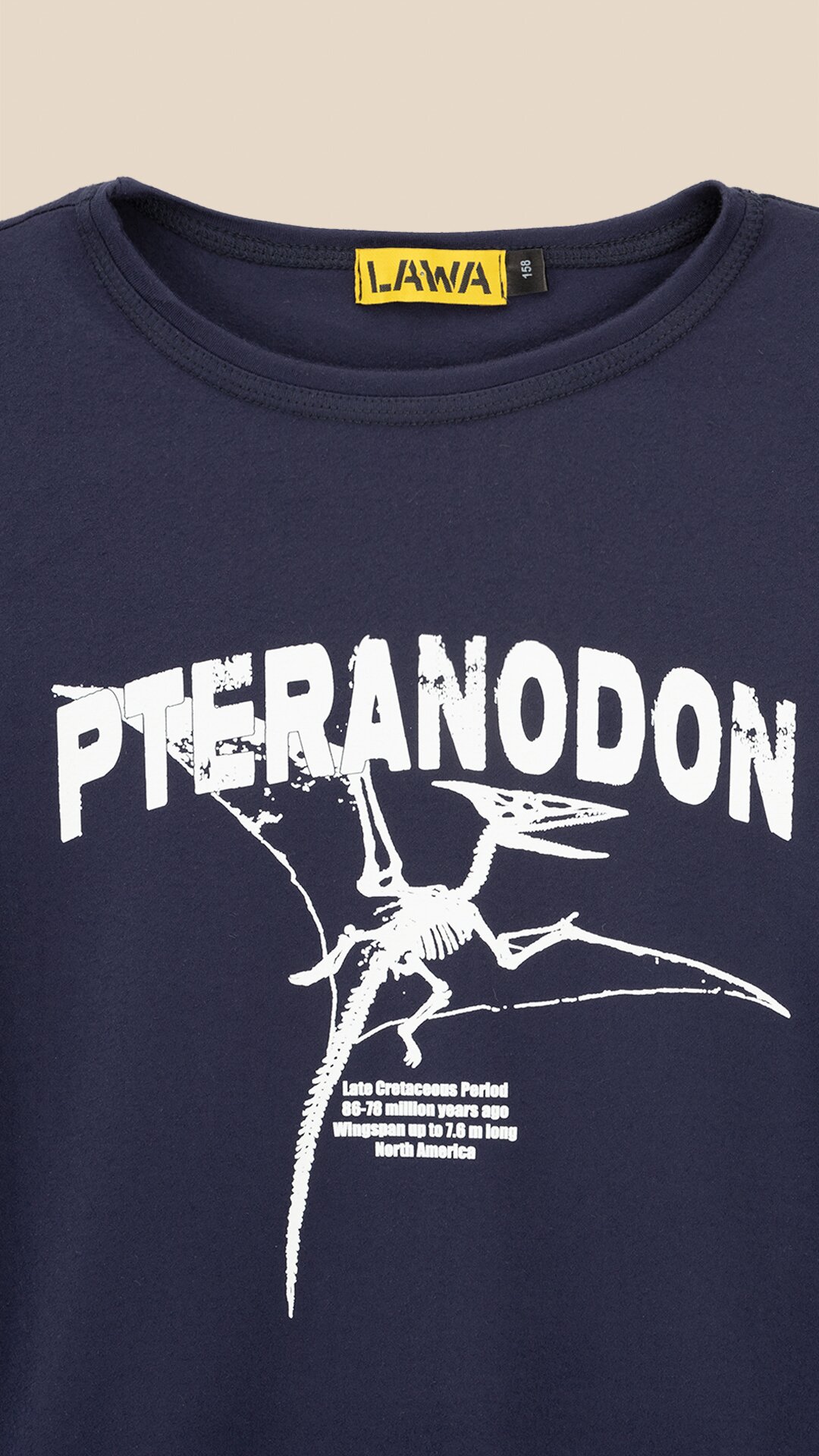 Купити Піжама для хлопчика Pteranodon LAWA P-BB02341 134 см Темно-синій Артикул: 2000999549083 Фото повноекранне №9