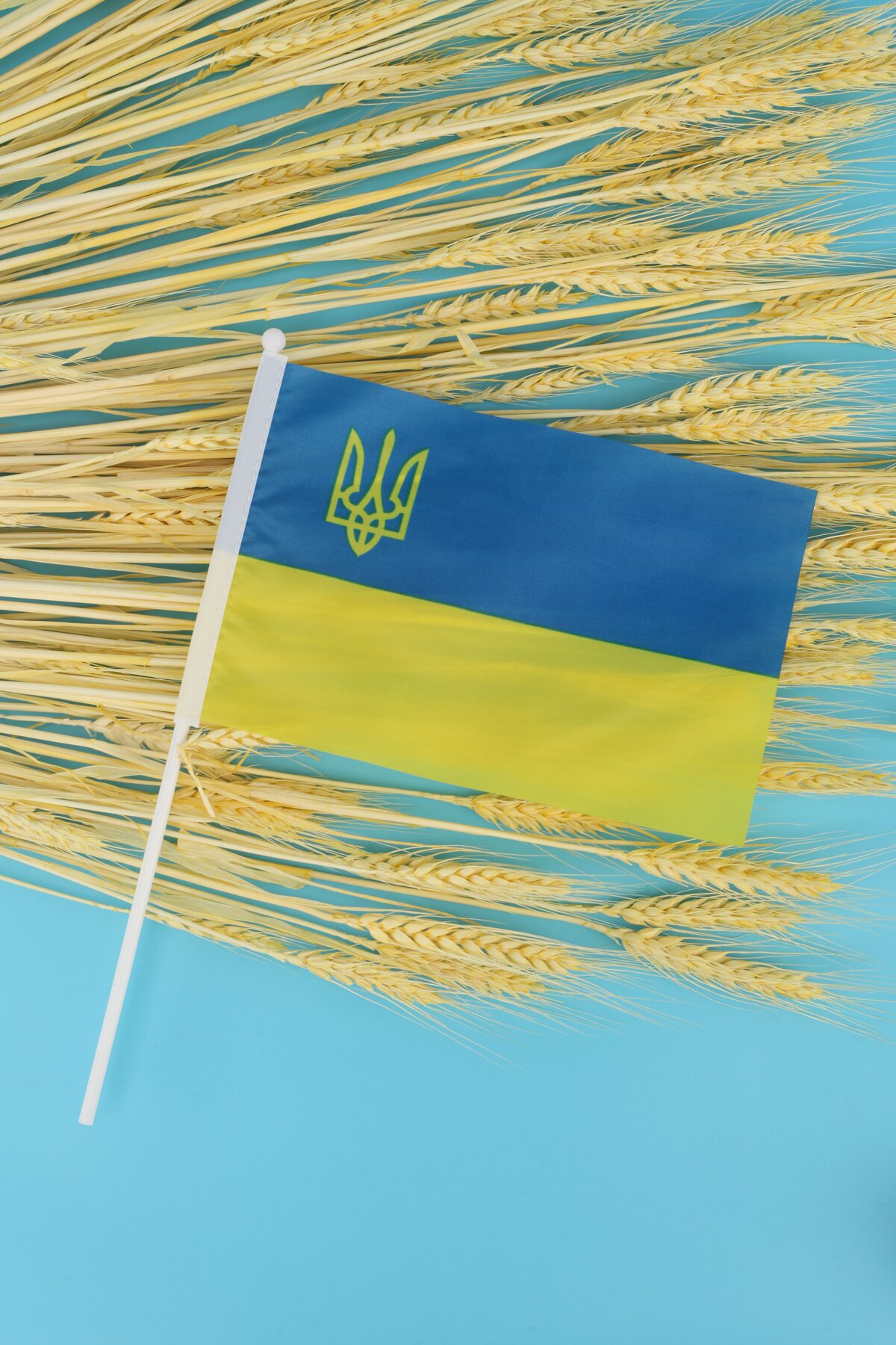Прапорець &quot;УКРАЇНА ТРИЗУБ&quot; на присосці 780012 (2000989356127A)  Фото №0