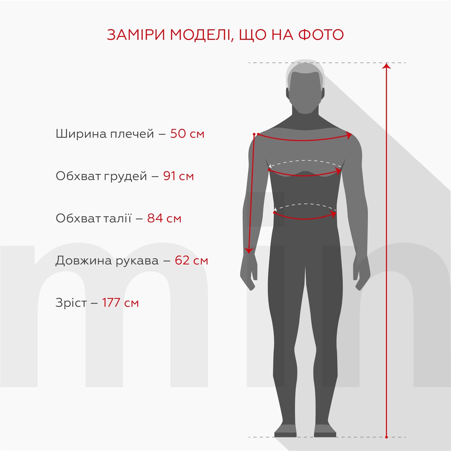 Спортивні штани чоловічі Demos DMS-035 baza 2XL Сірий (2000990059130W)  Фото №5