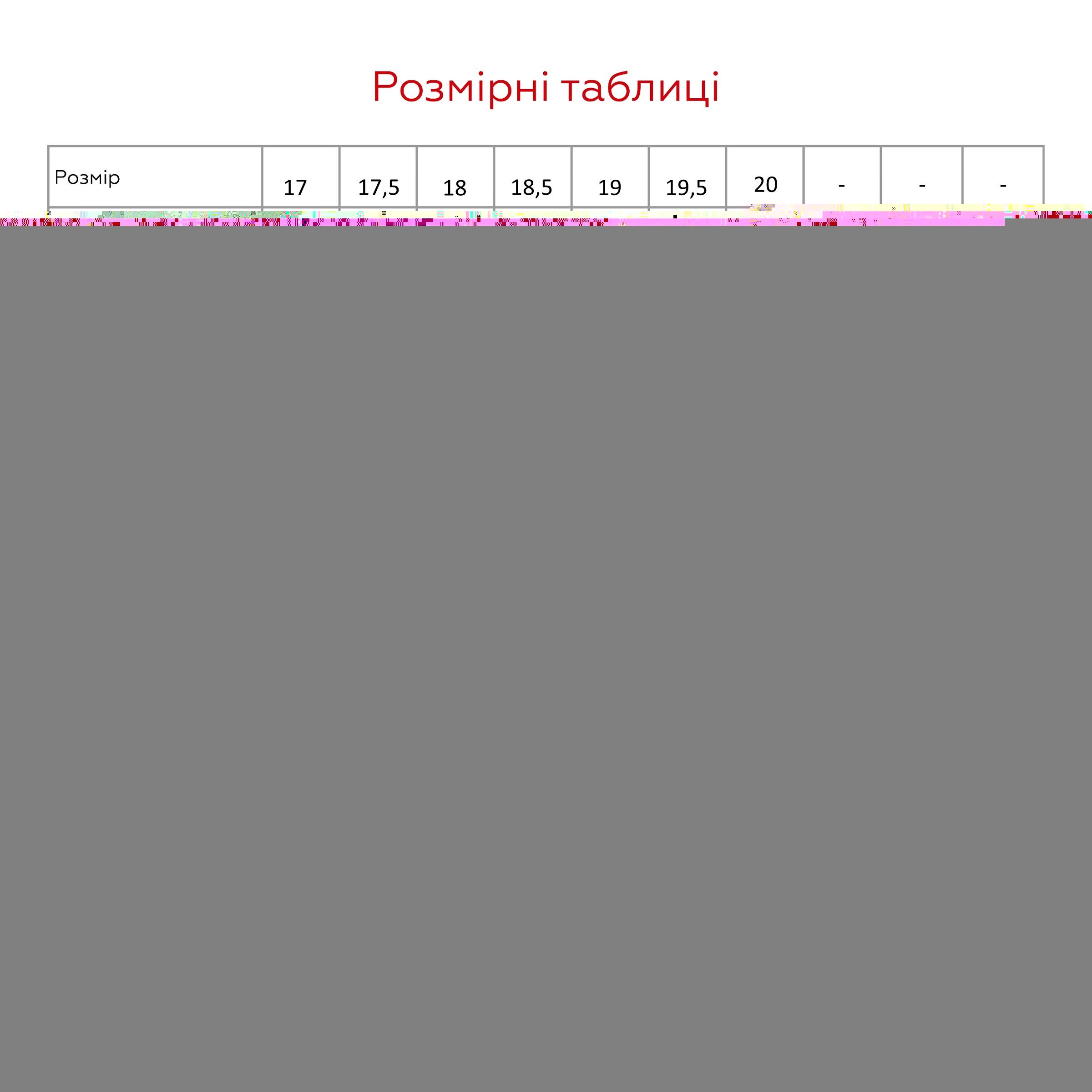 Тапочки для мальчика Берегиня 0222 Бобер 17 Черный  Фото №9