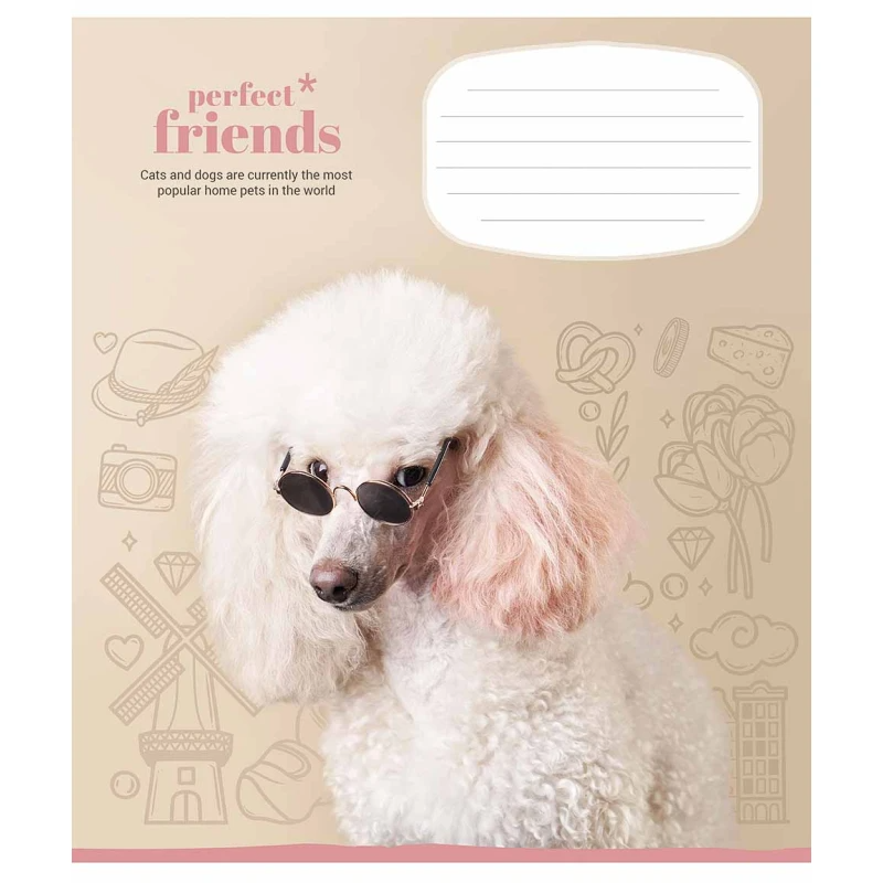 Зошит учнівський &quot;Perfect friends&quot; Школярик 012-3250C 12 арк. (482000647045603250)(SC)  Фото №4