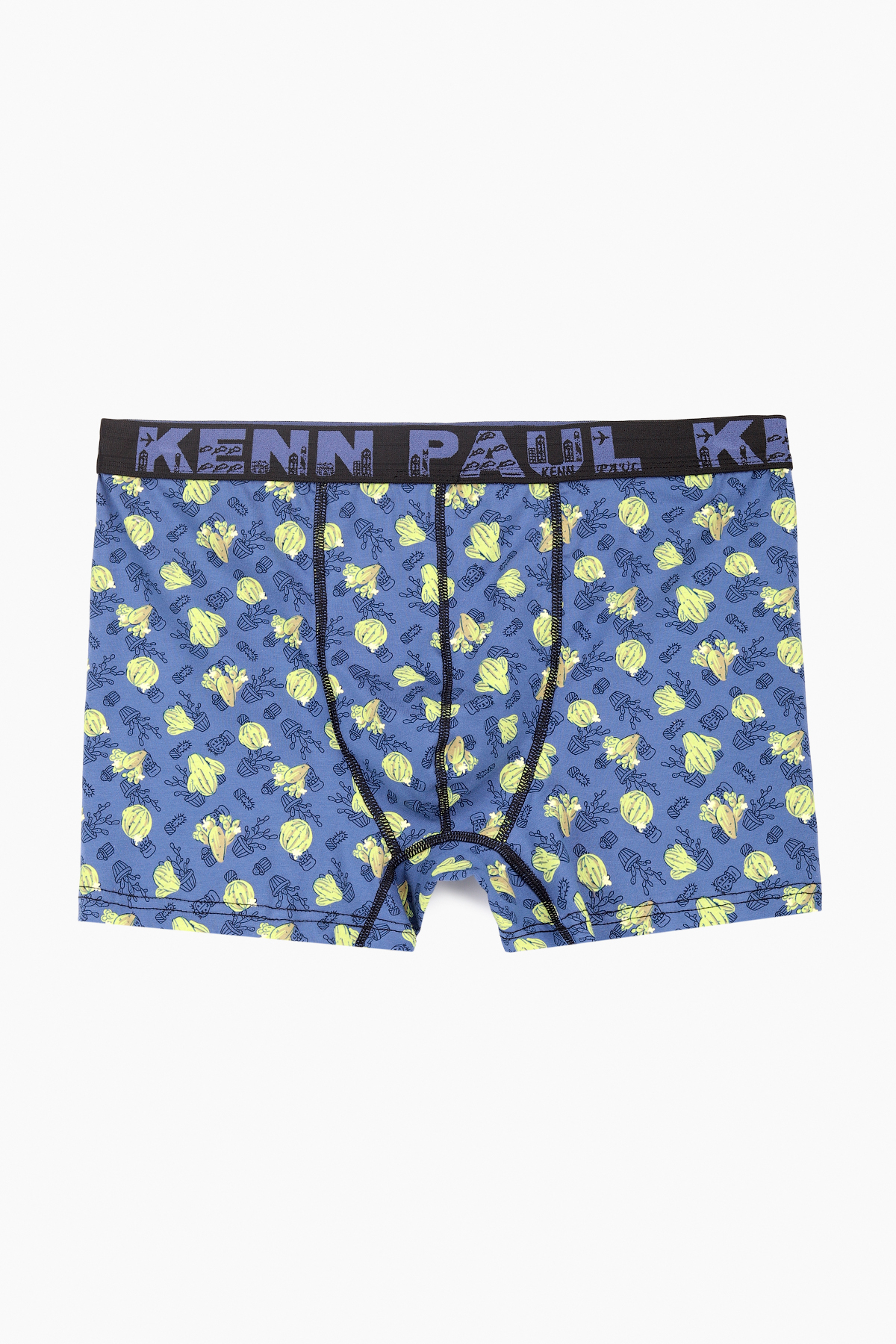 Труси чоловічі KENN PAUL 030 кактус 4XL Різнокольоровий (2000989554561S)  Фото №0